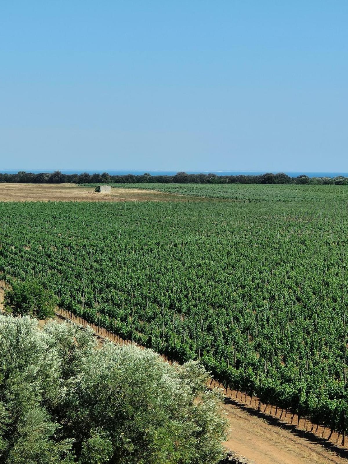 Nordisk Village Puglia Manduria Kültér fotó
